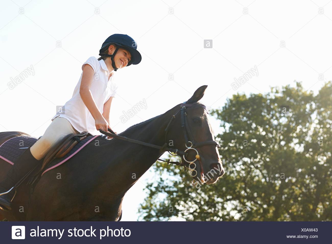 Horse Ride High Resolution Stock Photography and Images Alamy