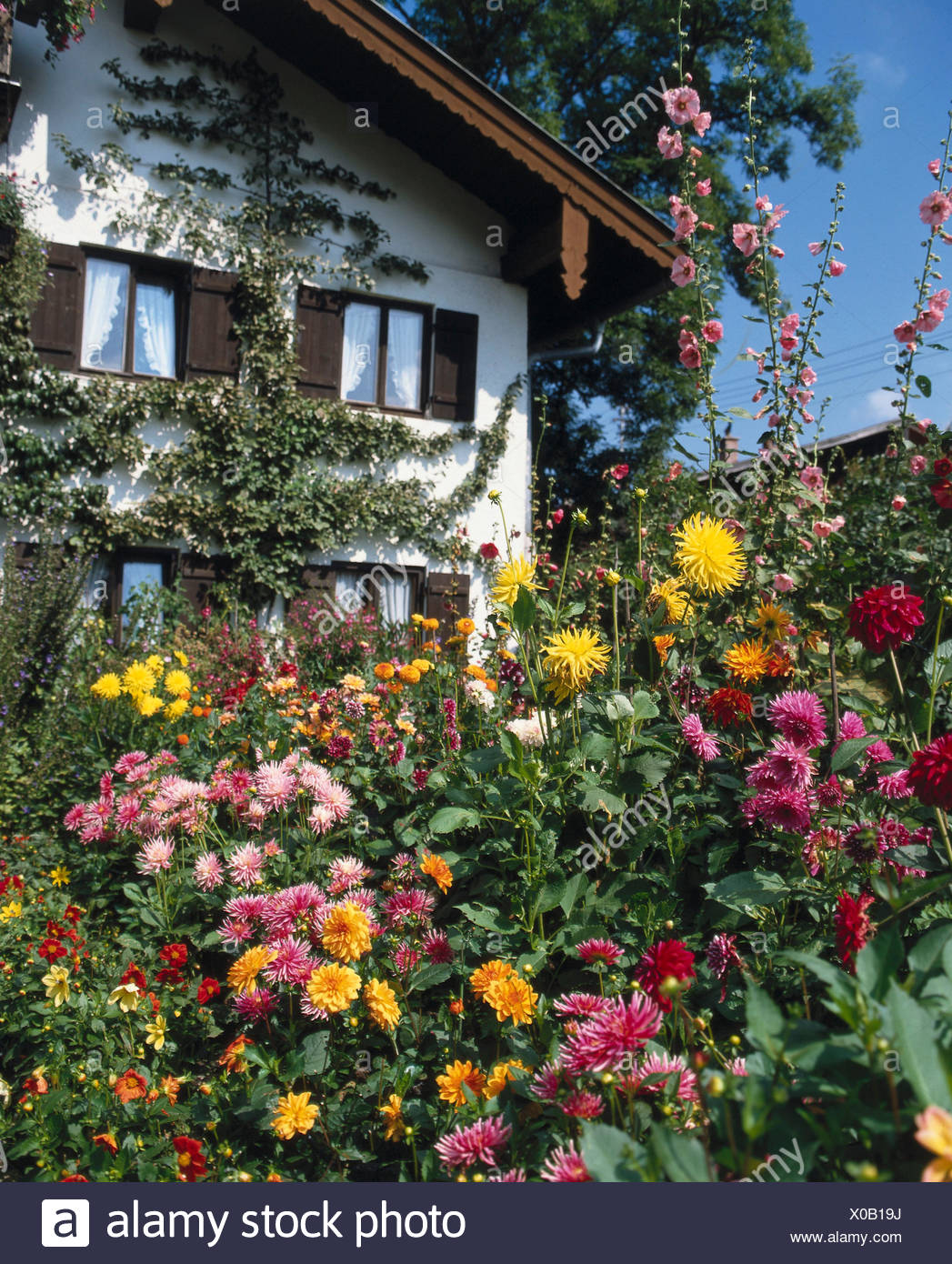 House Cottage Gardens Flowers Stock Photo Alamy House Cottage Gardens Flowers Stock Photo Alamy