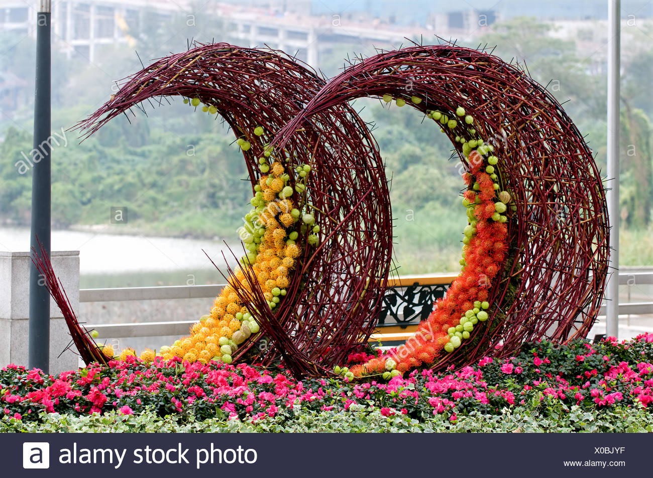 Decorative Of Protea Pincushion Flowers Over Stalk Artwork Stock Photo Alamy