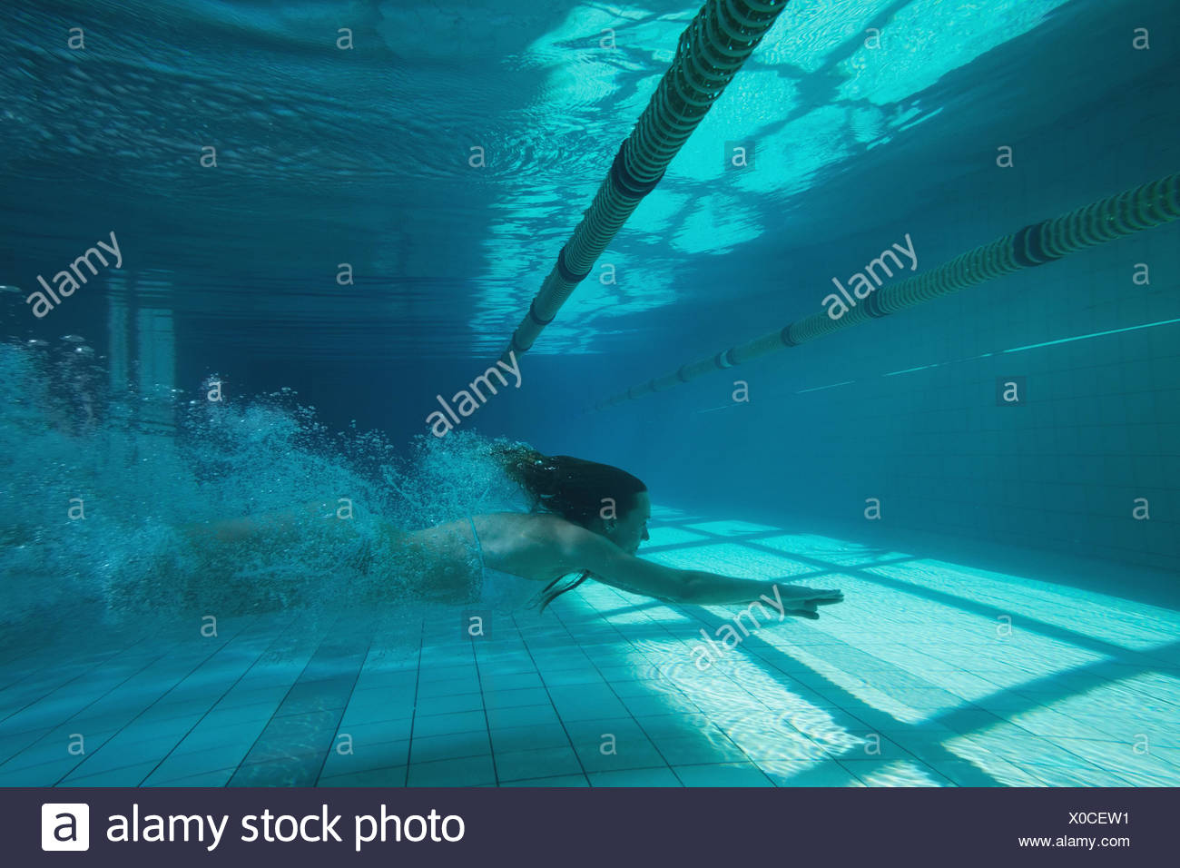Underwater Swimmer Stock Photos & Underwater Swimmer Stock Images Alamy