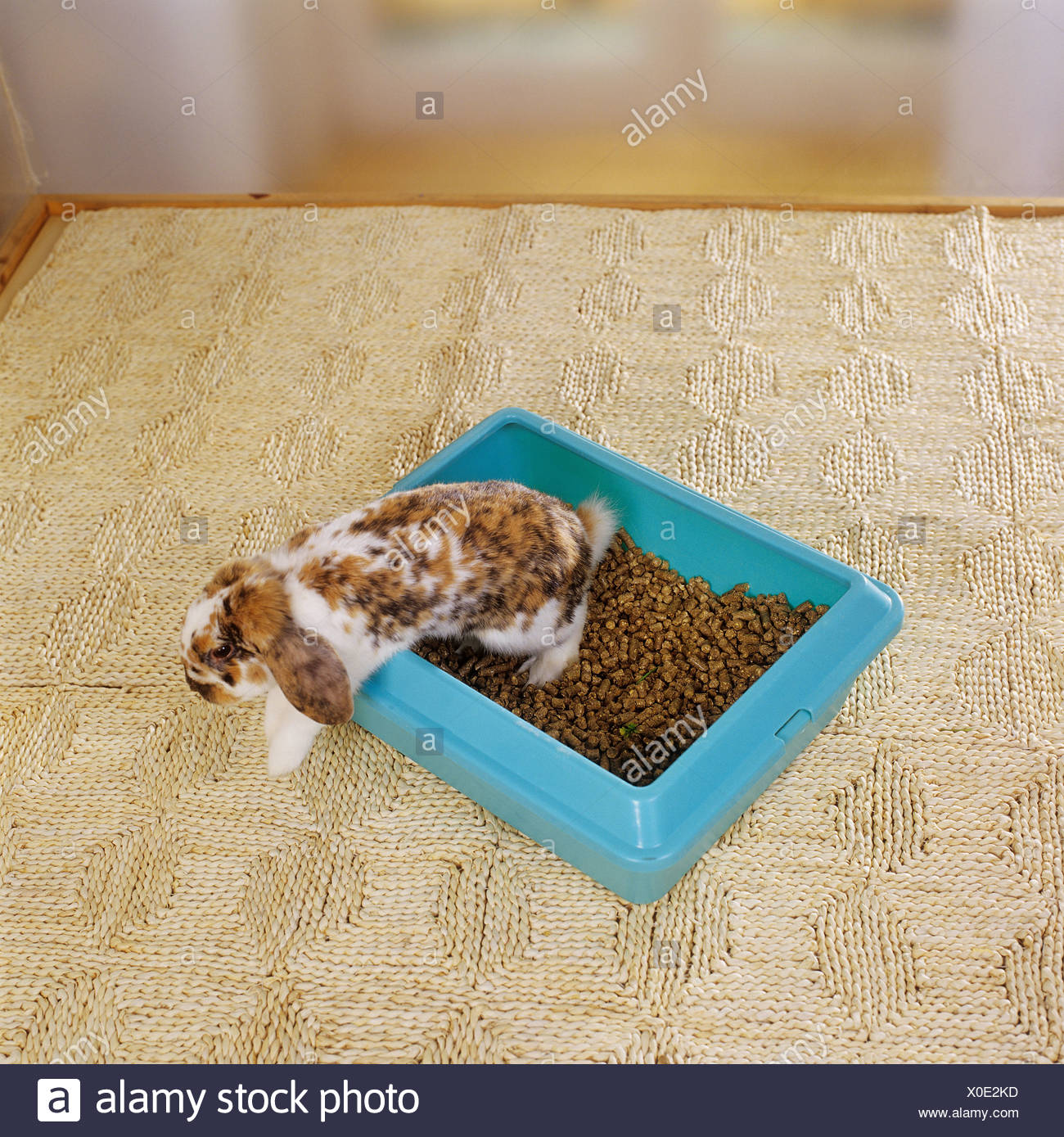 Litter Pellets High Resolution Stock Photography and Images Alamy