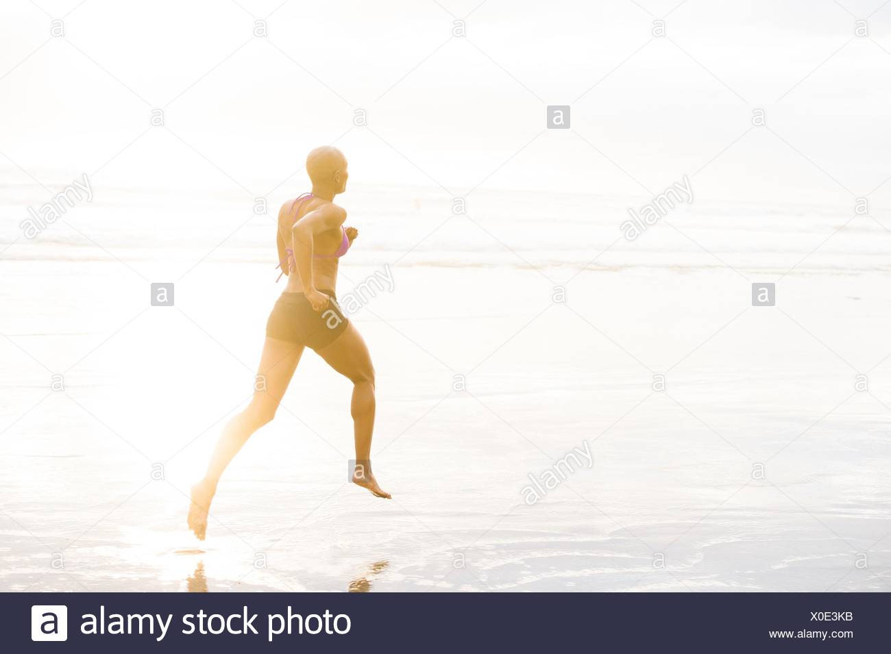 Rear View Girl In Bikini High Resolution Stock Photography and Images