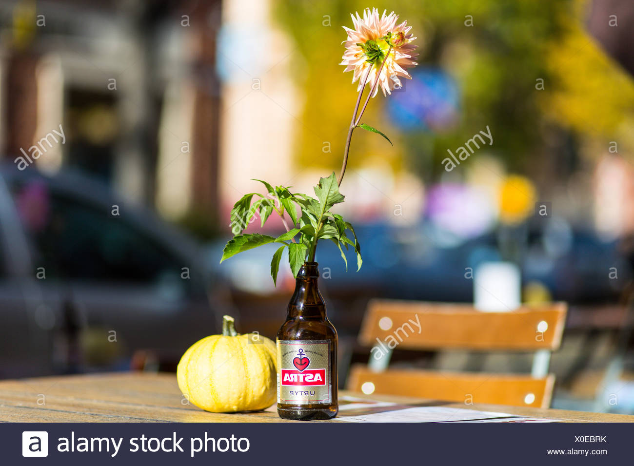 Beer Bottle As A Flower Vase Stock Photo 275682503 Alamy