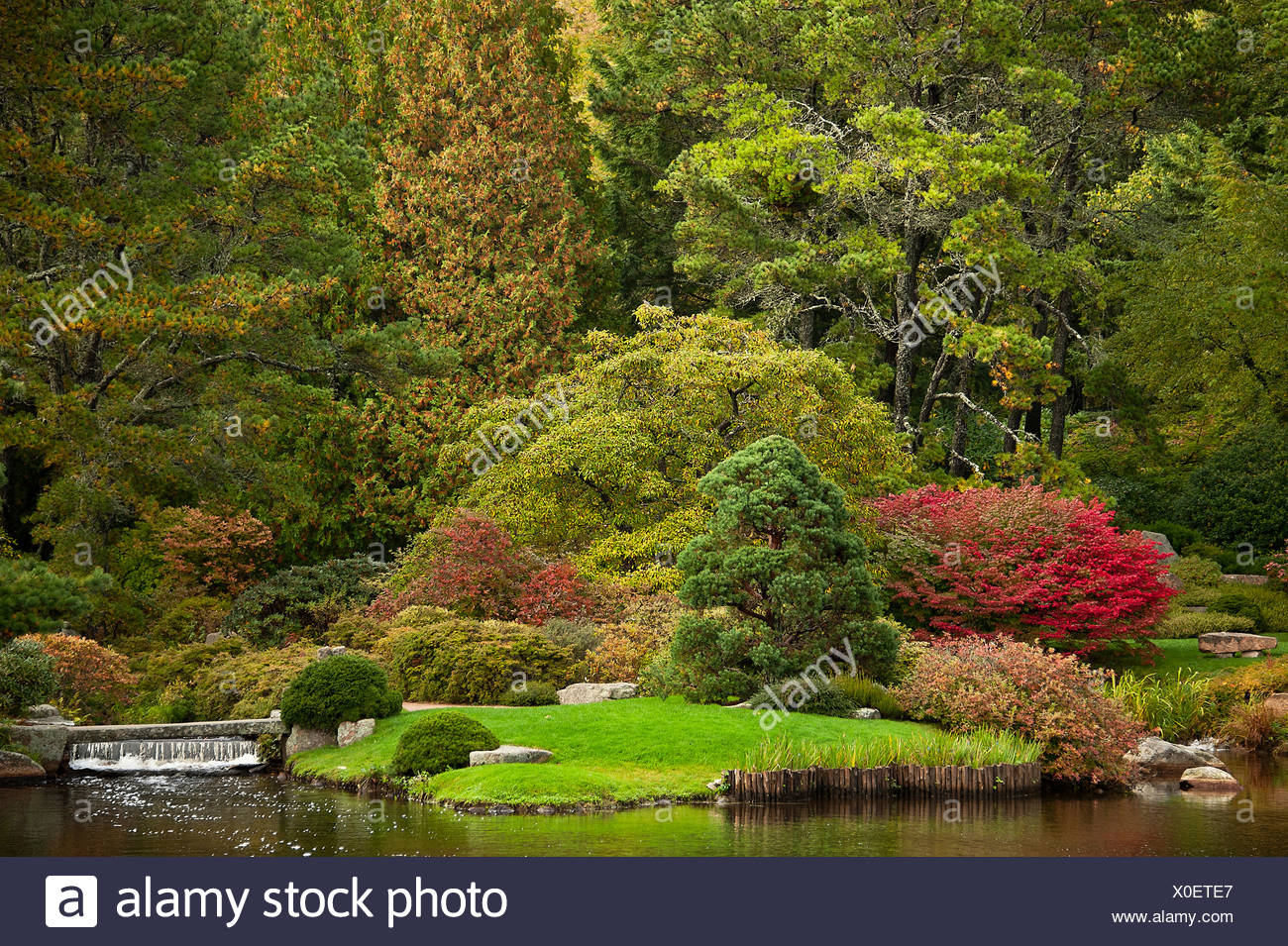 Asticou Azalea Garden, public, Northeast Harbor, Maine, USA Stock Photo