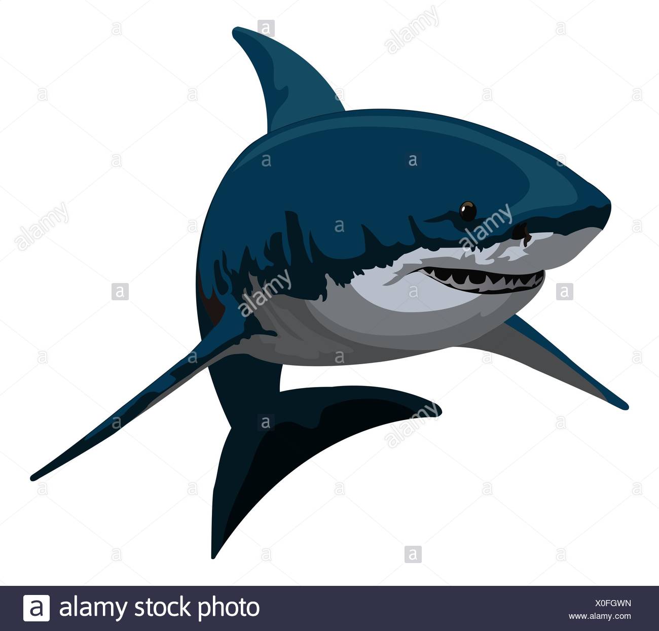 Free Free Shark Skeleton Svg 100 SVG PNG EPS DXF File