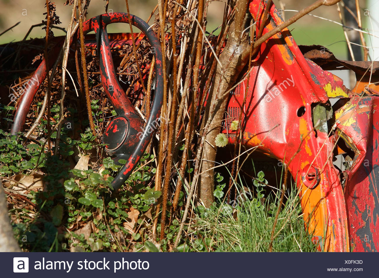 Old Volkswagen beetle overgrown by plants Stock Photo