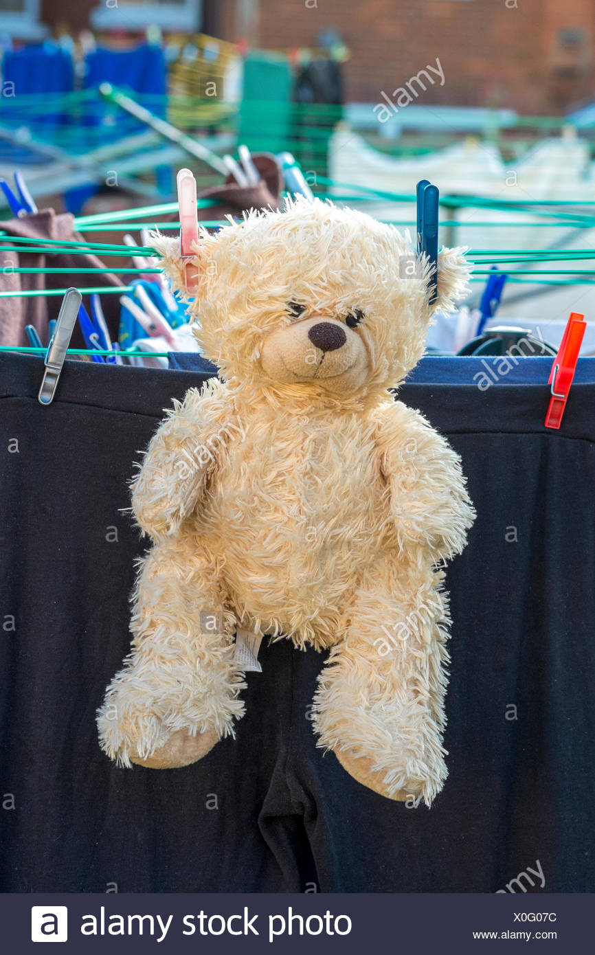 laundry teddy bear