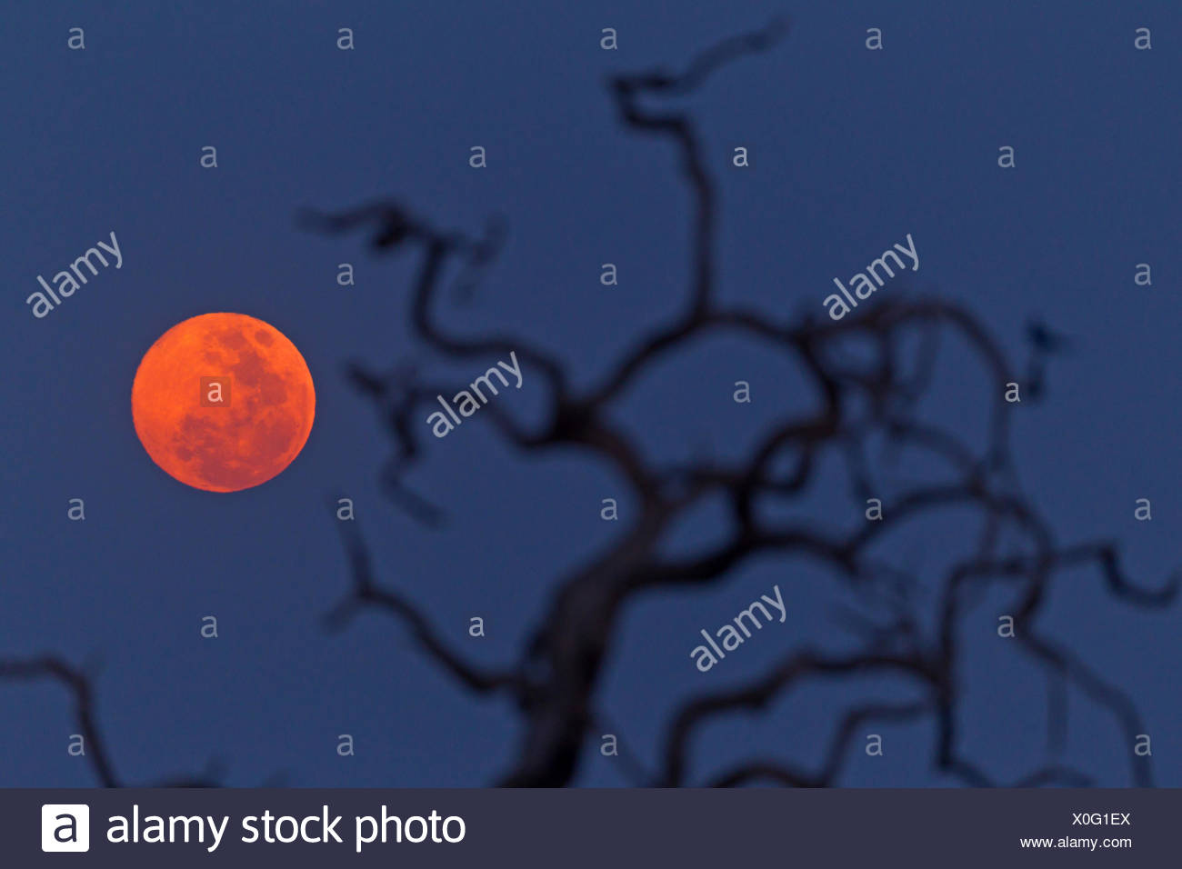 Full Moon In Africa High Resolution Stock Photography and Images Alamy