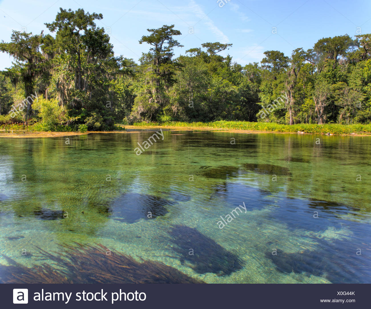 Wakulla Spring Stock Photos & Wakulla Spring Stock Images Alamy
