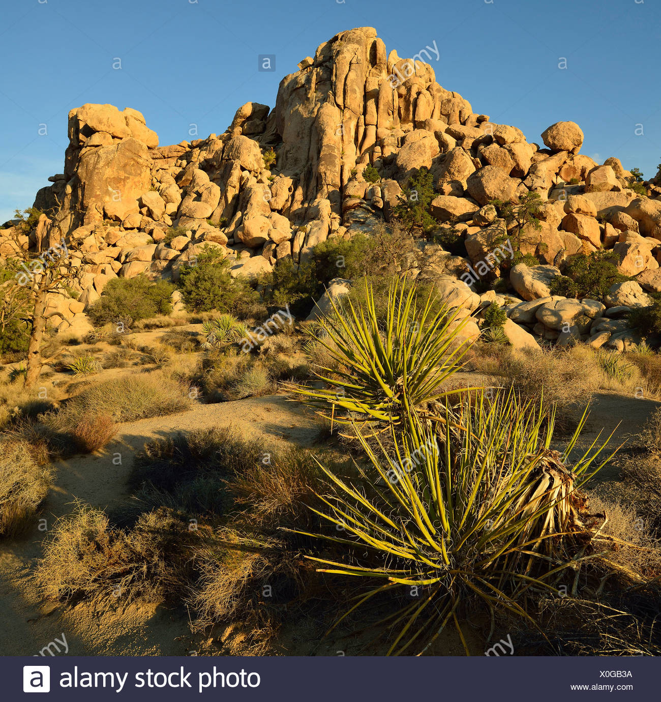The Great Burrito A Monzogranite Rock Formation Hidden Valley Joshua Tree National Park Mojave Desert California Southwest Stock Photo Alamy