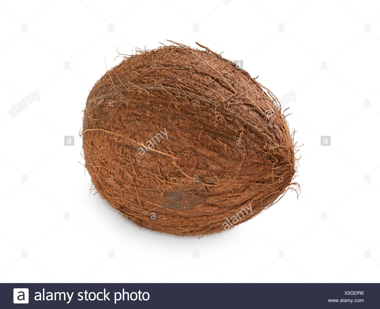 Hairy Coconut Stock Photos & Hairy Coconut Stock Images Alamy