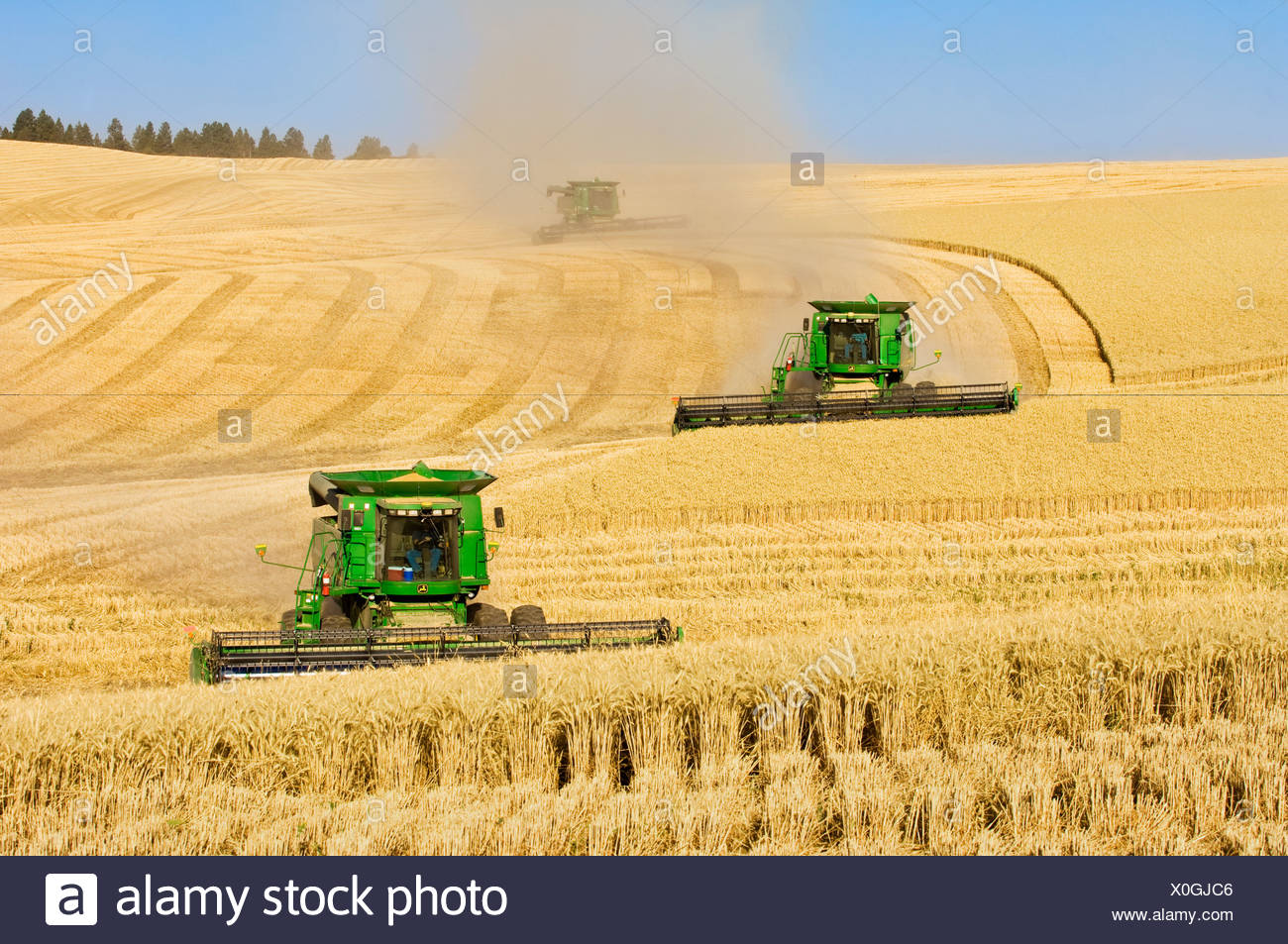 Combines Harvesting Wheat High Resolution Stock Photography and Images