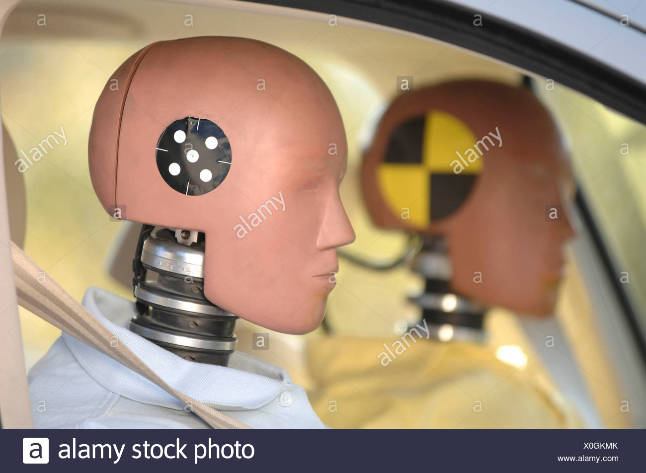 Crashtest Dummy Stock Photos & Crashtest Dummy Stock Images Alamy