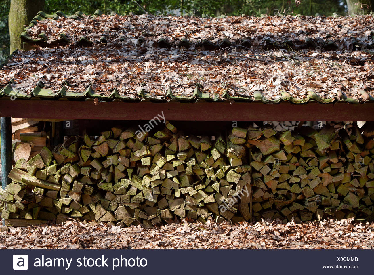 Pile Of Fire Wood Outdoor Stock Photos Pile Of Fire Wood Outdoor