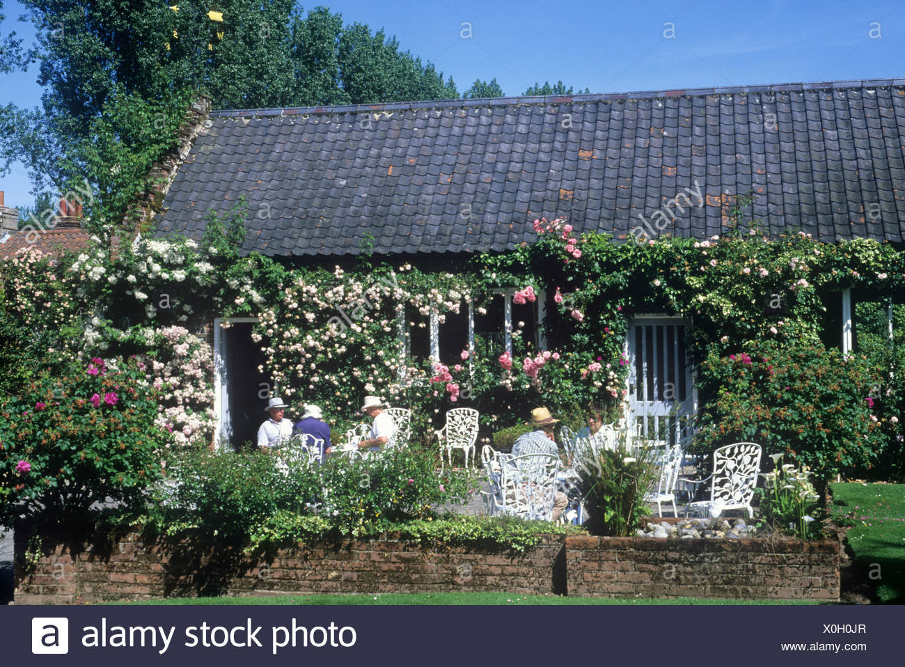 Mannington Hall Tea Room Terrace Norfolk England Uk People