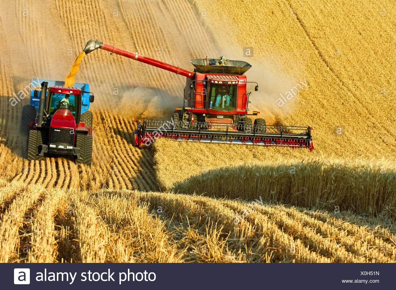 Case Tractors High Resolution Stock Photography and Images Alamy