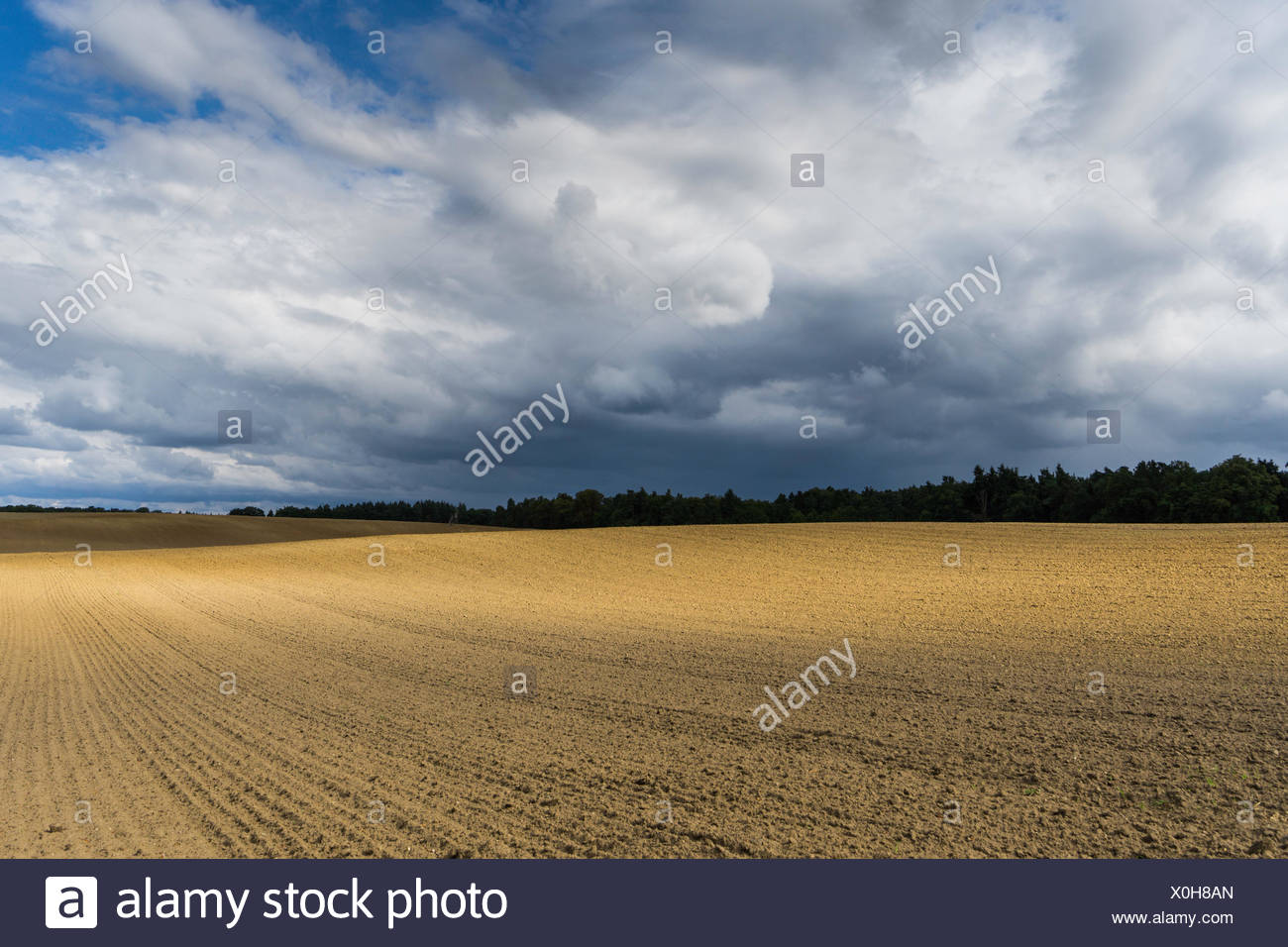 straw bales in a field in the warm sunlight with drawing,dark clouds Stock Photo