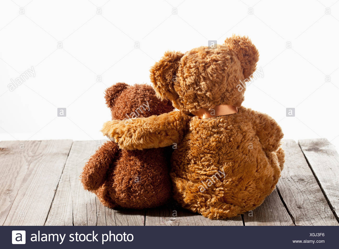 cuddles teddy bear