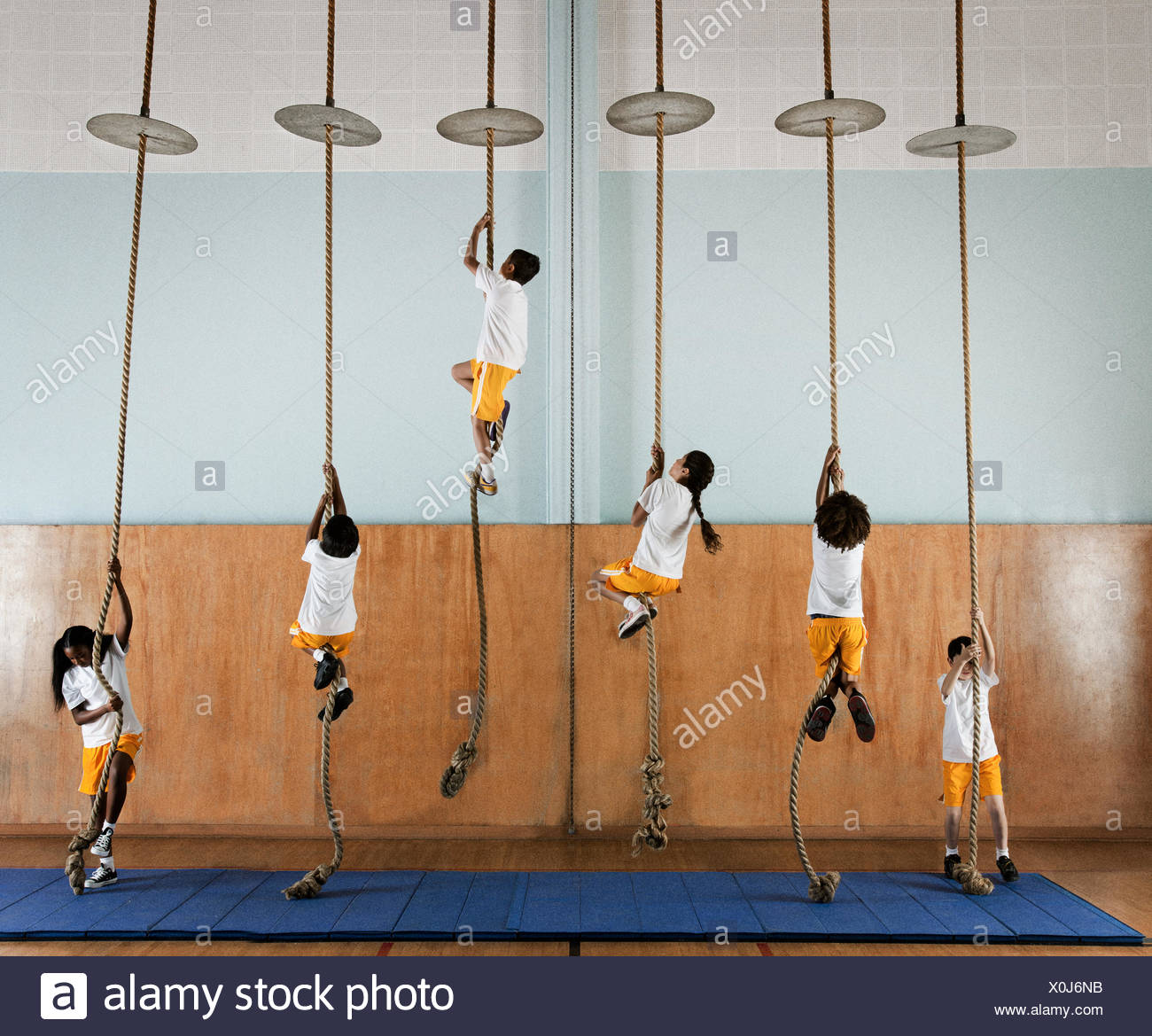 gym climbing rope