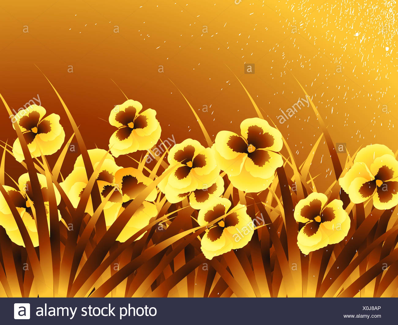 Curled Up Flower Stock Photos & Curled Up Flower Stock Images - Alamy
