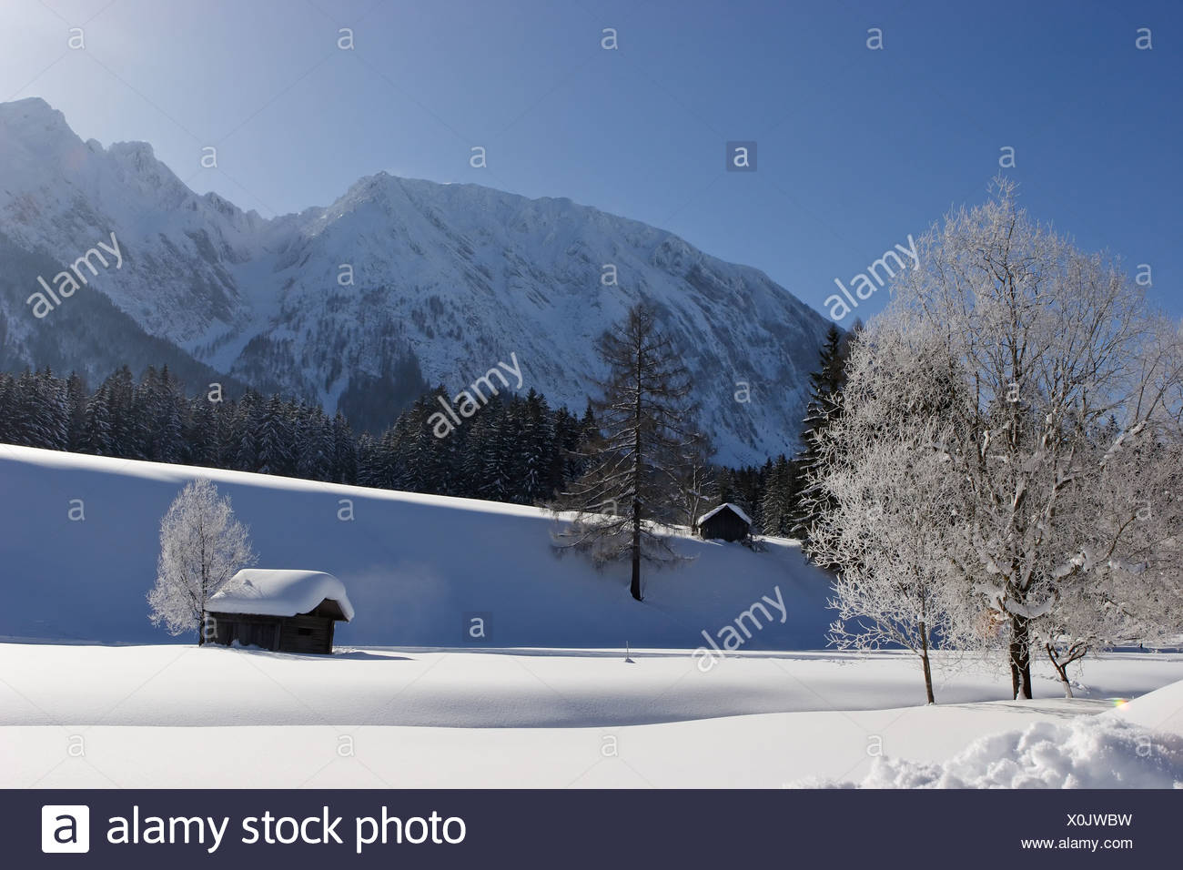 Log Cabins Deeply Covered With Snow Near Krungl Styria Austria