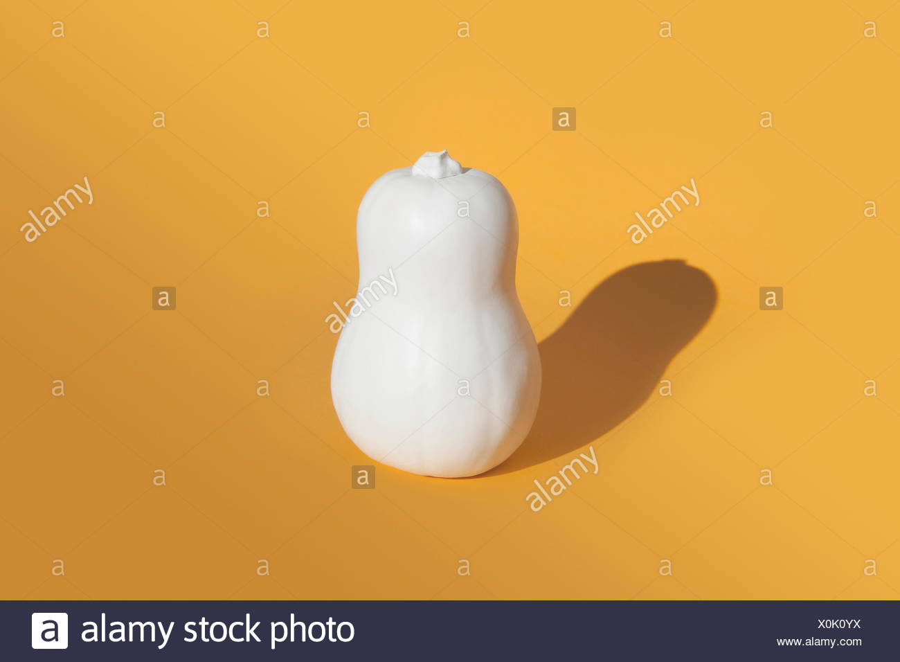 Butternut squash painted white on orange background Stock Photo
