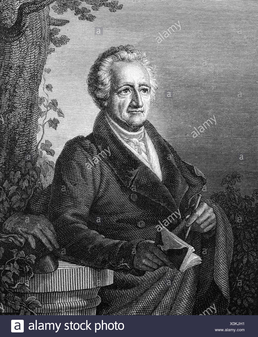 Get Wolfgang johann goethe For Free