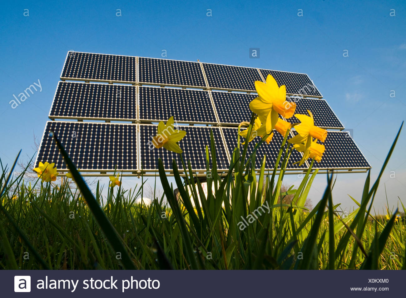 Solar Panels Flowers Stock Photos & Solar Panels Flowers Stock Images