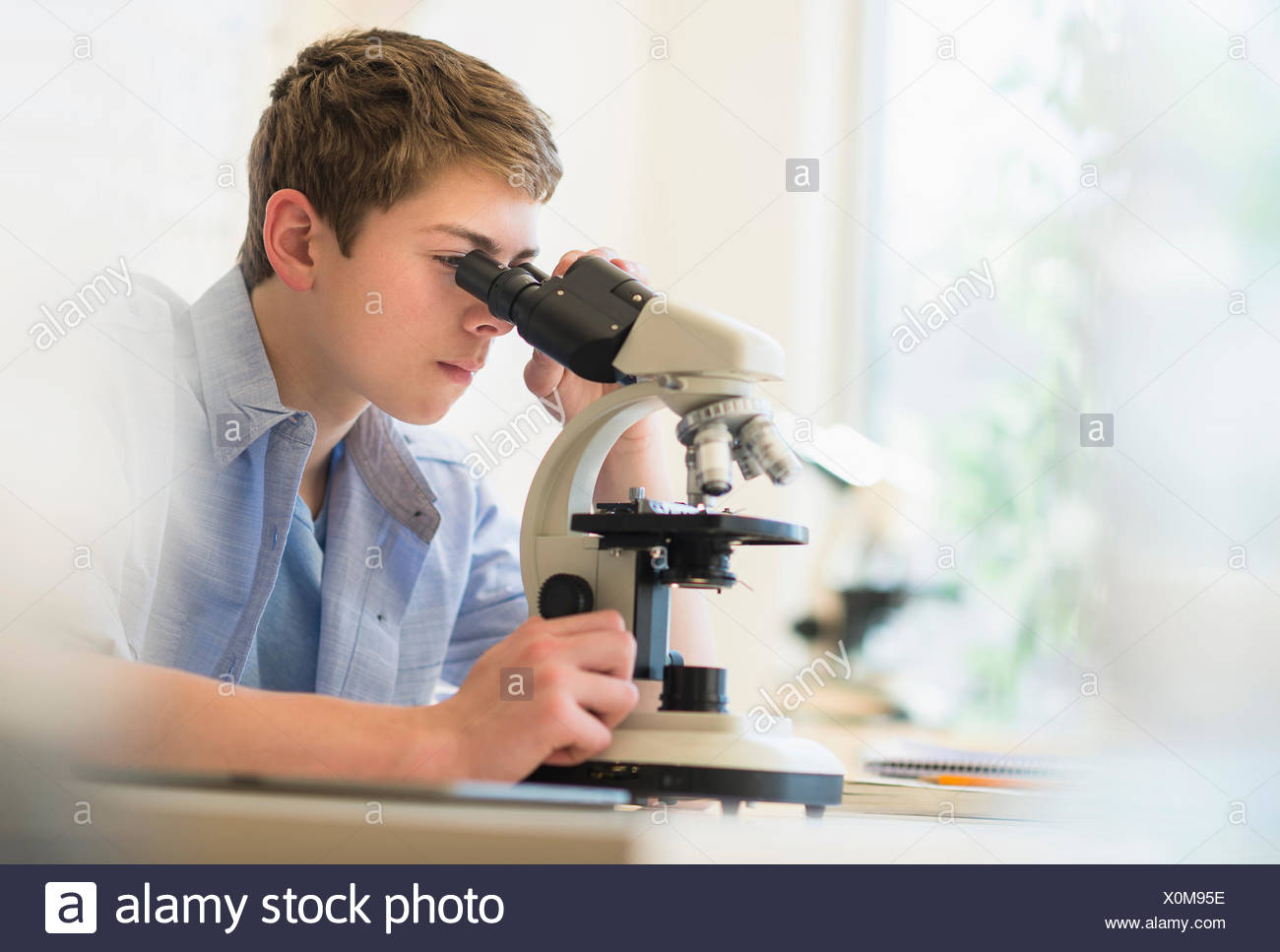 Teenage Boy 16 17 Looking Through Microscope Stock Photo Alamy