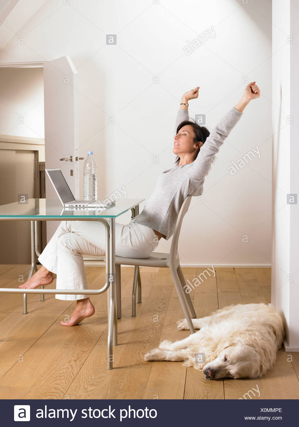 Woman At Her Desk Dog Sleeping Stock Photo 275821238 Alamy