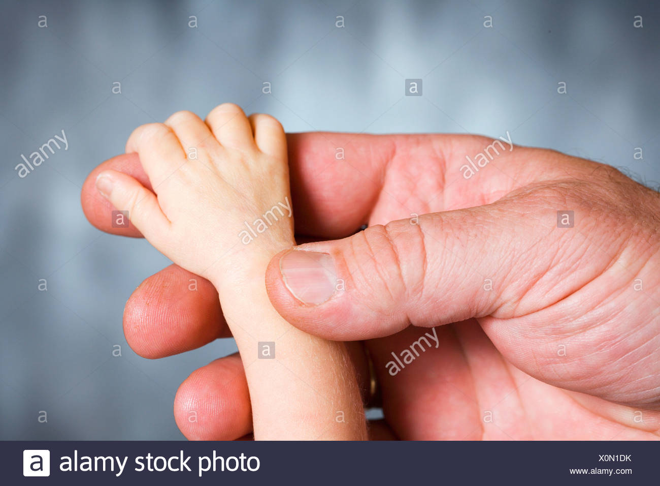 baby hands on adults