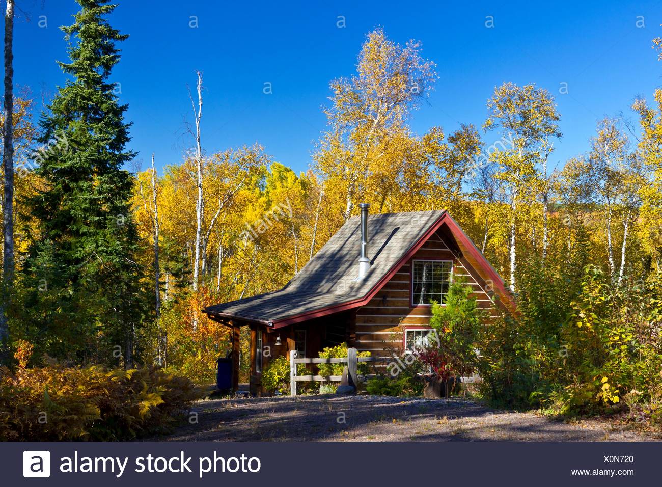 Fall Foliage Forest Cottage Along Stock Photos Fall Foliage