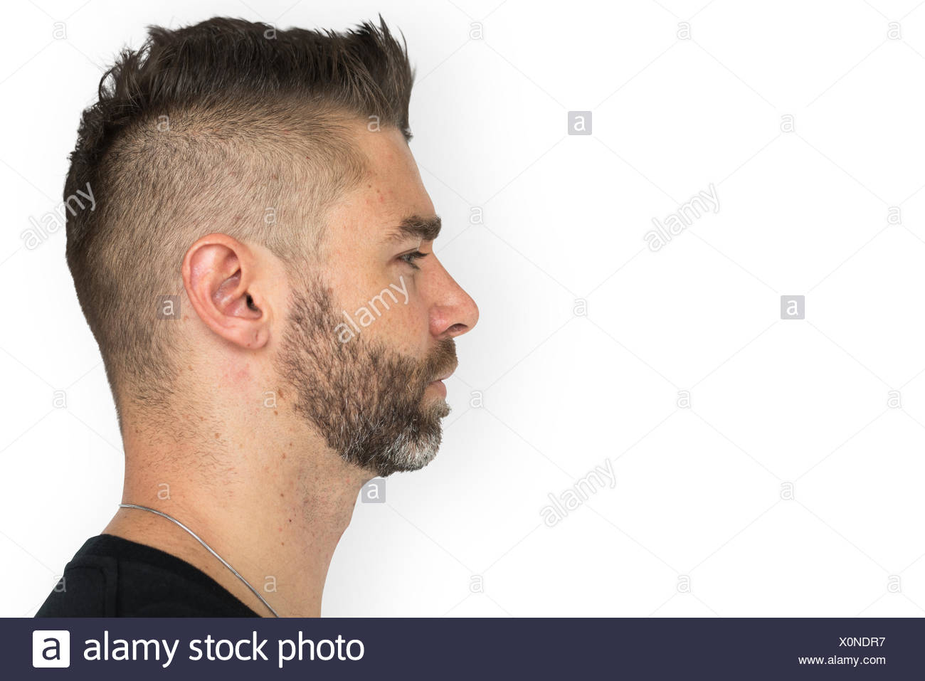 Men Adult Spiky Hair Side Stock Photo 275837723 Alamy