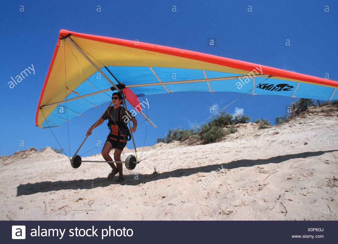 delta glider