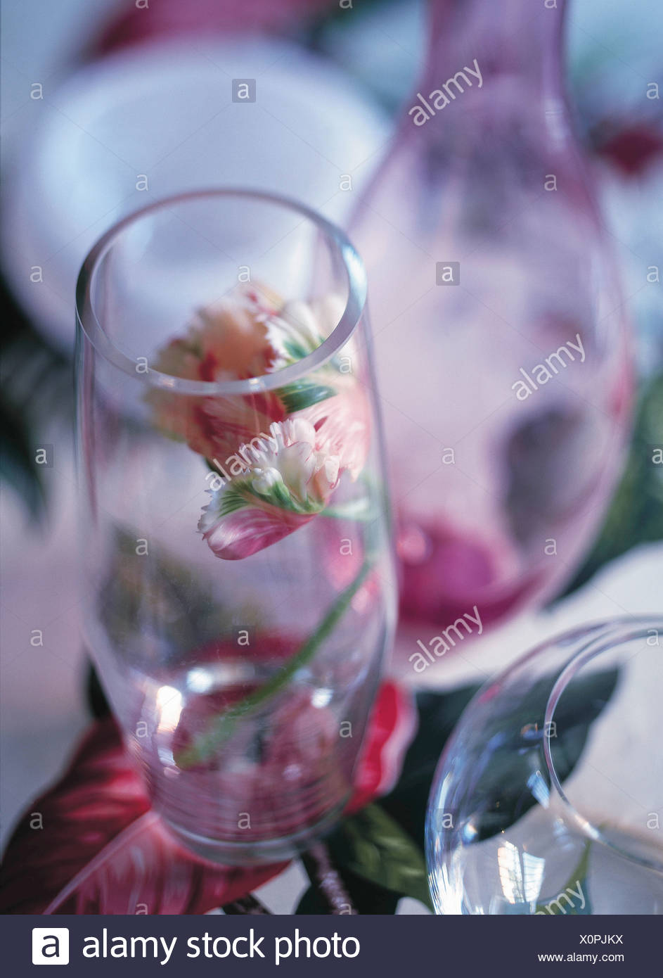 Vases Make These Versatile Vessels The Main Attraction Pink