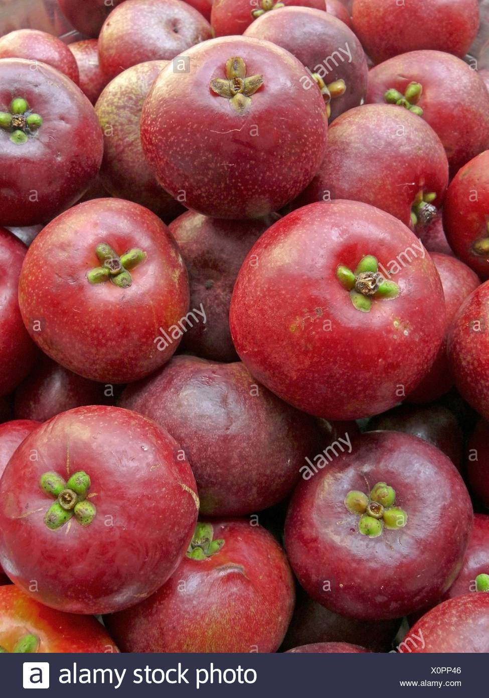 Garcinia Indica Stock Photos & Garcinia Indica Stock Images - Alamy
