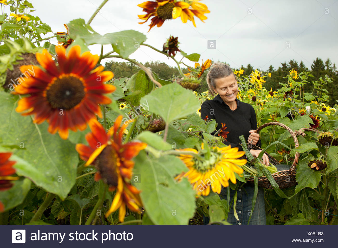 Happy Older Woman Outdoor High Resolution Stock Photography and Images ...
