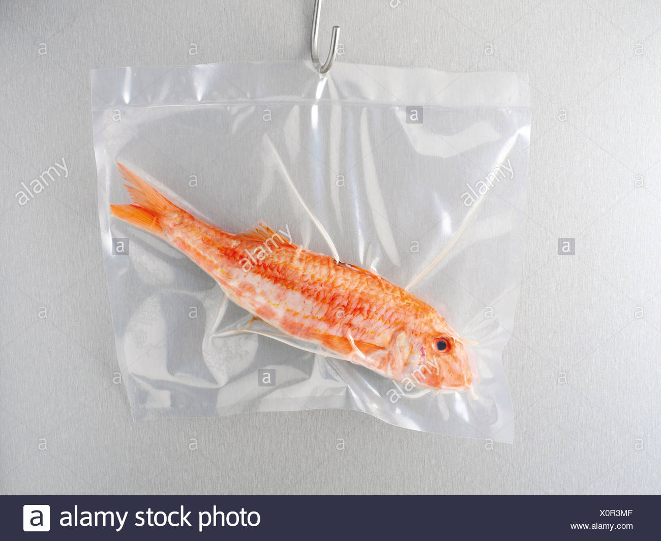Vacuum Packed Fish High Resolution Stock Photography and Images Alamy