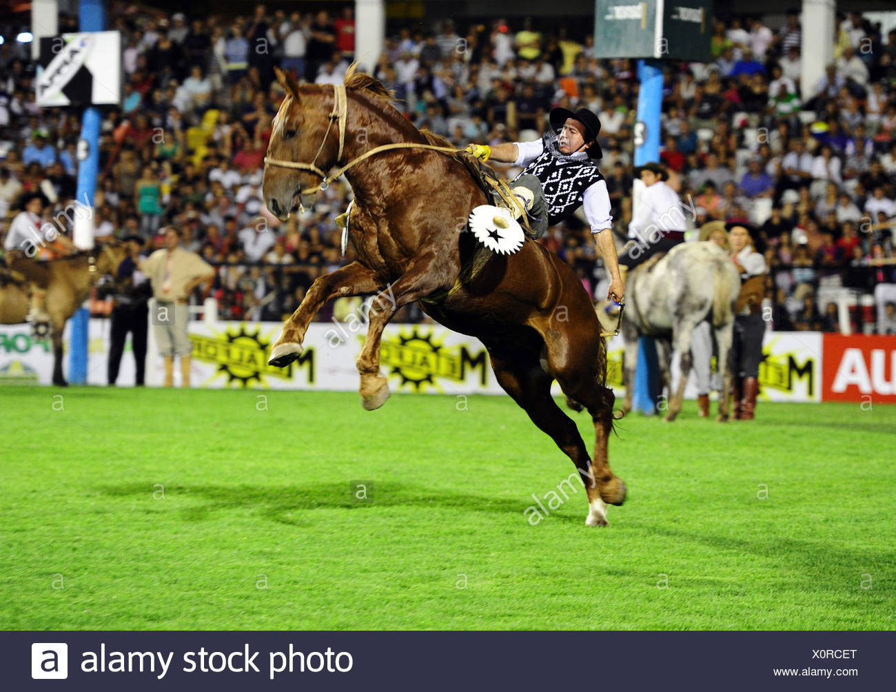 Spruce Meadows Riding Hall | Flickr - Photo Sharing! Male Horse Rider Stock Photos & Male Horse Rider Stock ...