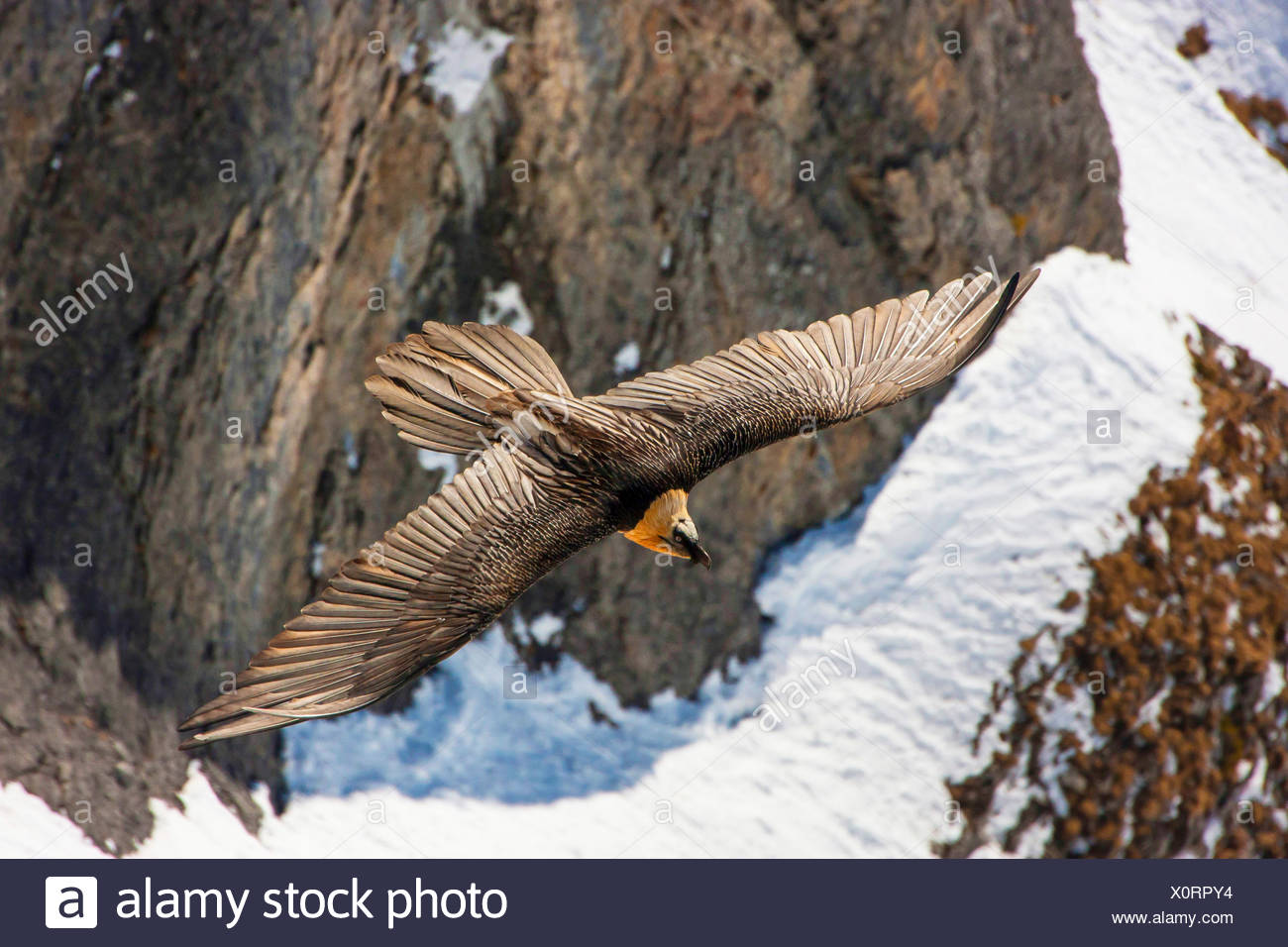 Snowy Wall High Resolution Stock Photography And Images Alamy
