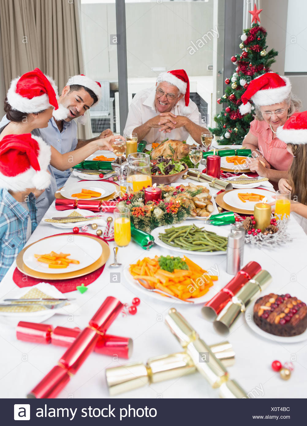 christmas dinner hats