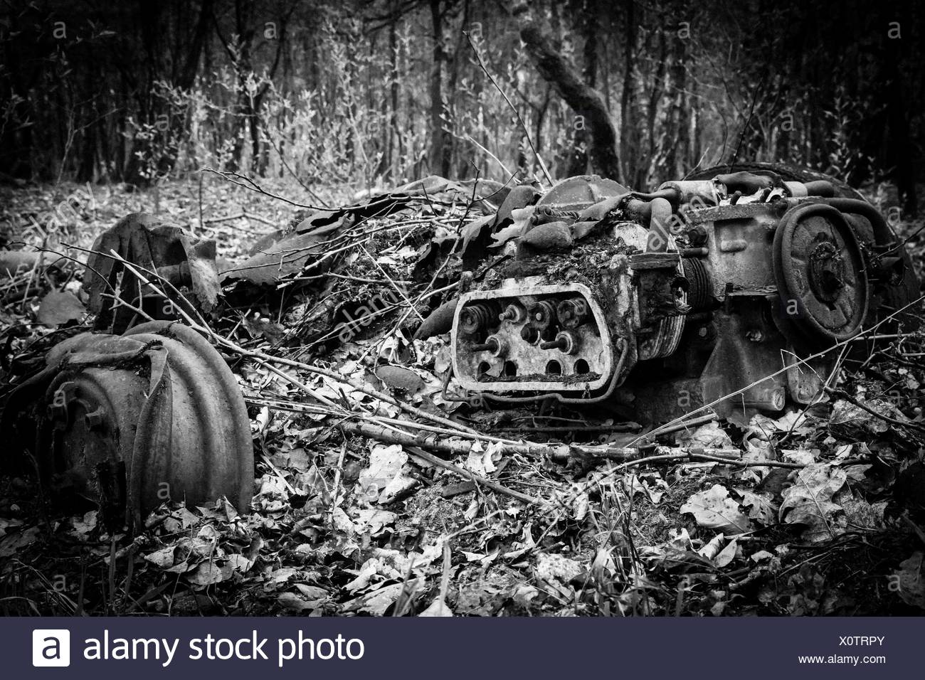 Car In The Woods High Resolution Stock Photography and Images - Alamy