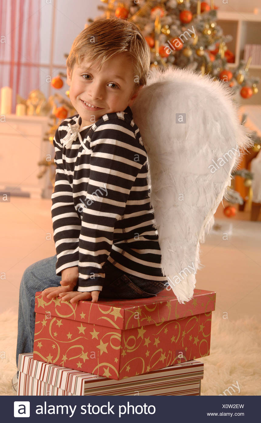 angel wing tree