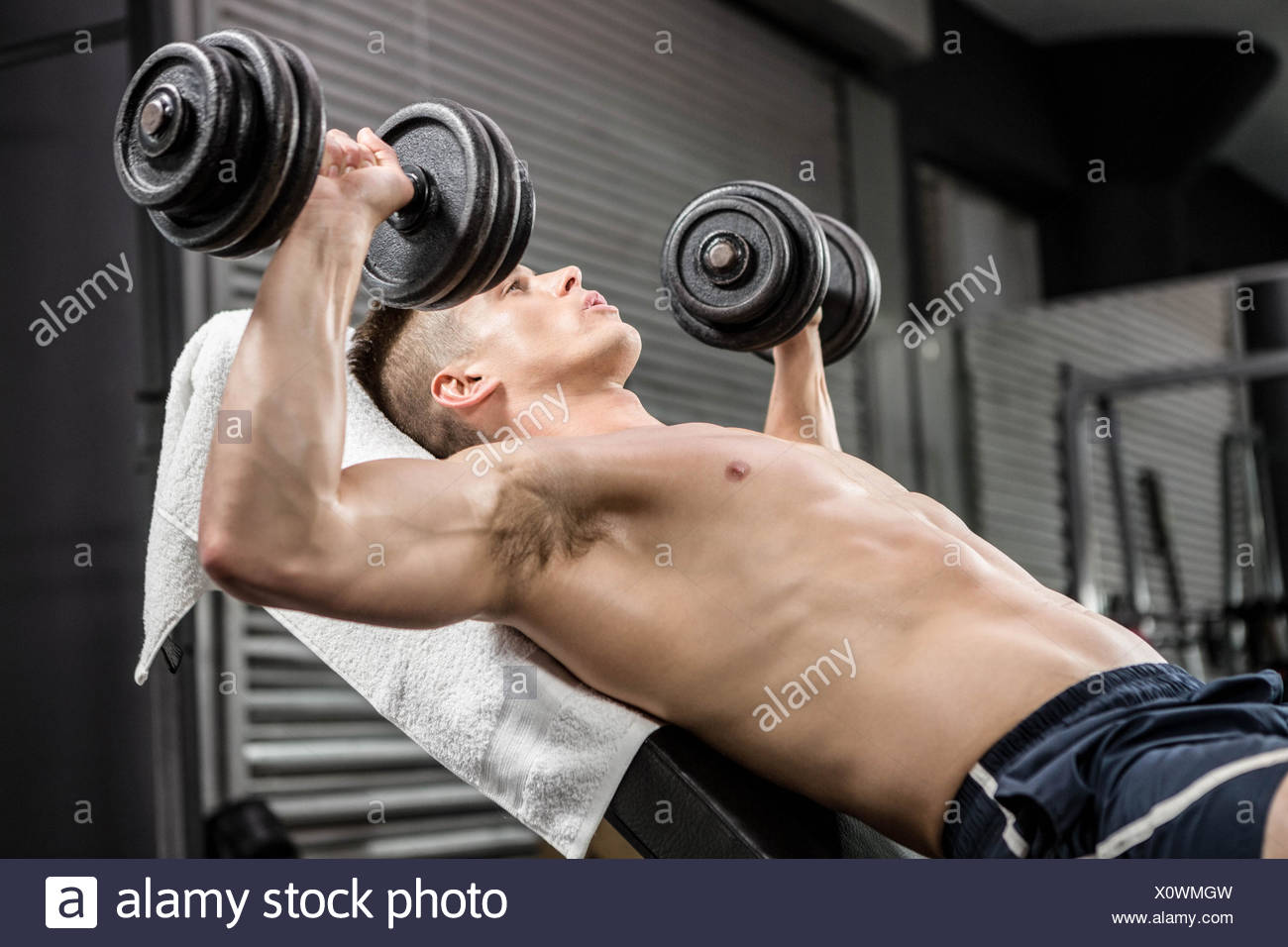 Dumbbells Weight Bench Stock Photos Dumbbells Weight Bench Stock
