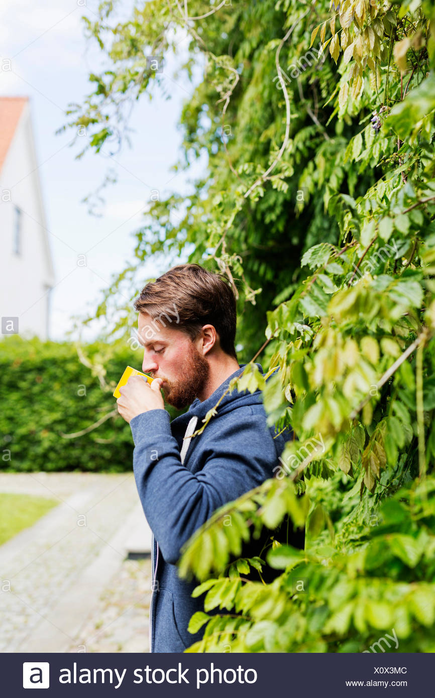 Coffee Plants High Resolution Stock Photography and Images Alamy