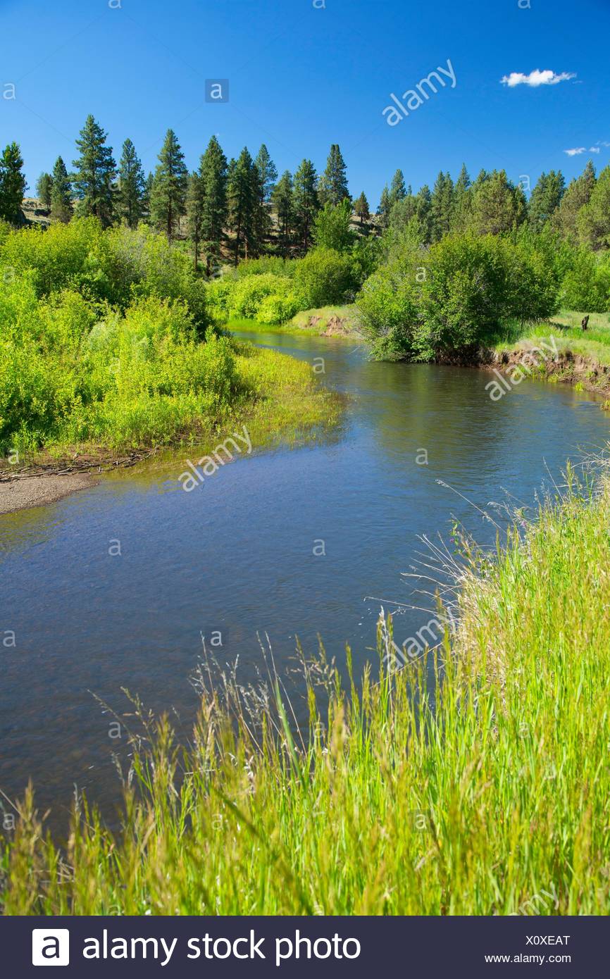 The Sprague High Resolution Stock Photography and Images Alamy