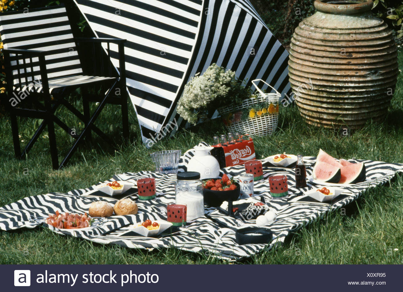 Picnic On Black And White Striped Cloth On Grass Large