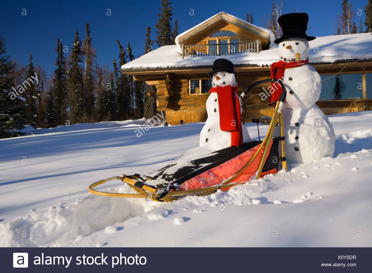 Large Small Snowman Ride On Dog Sled In Deep Snow In Afternoon