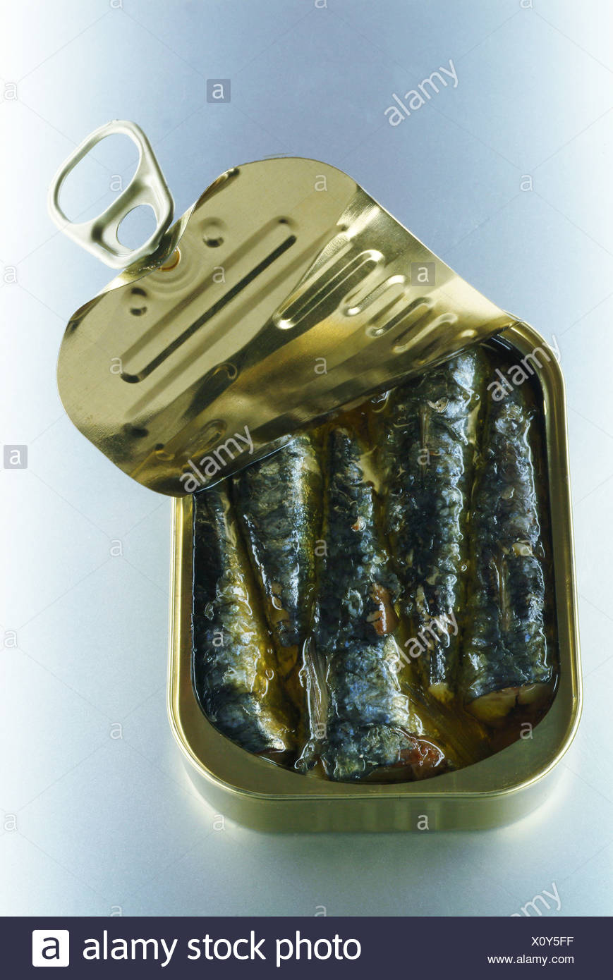 Tin Of Sardines Stock Photos & Tin Of Sardines Stock Images Alamy