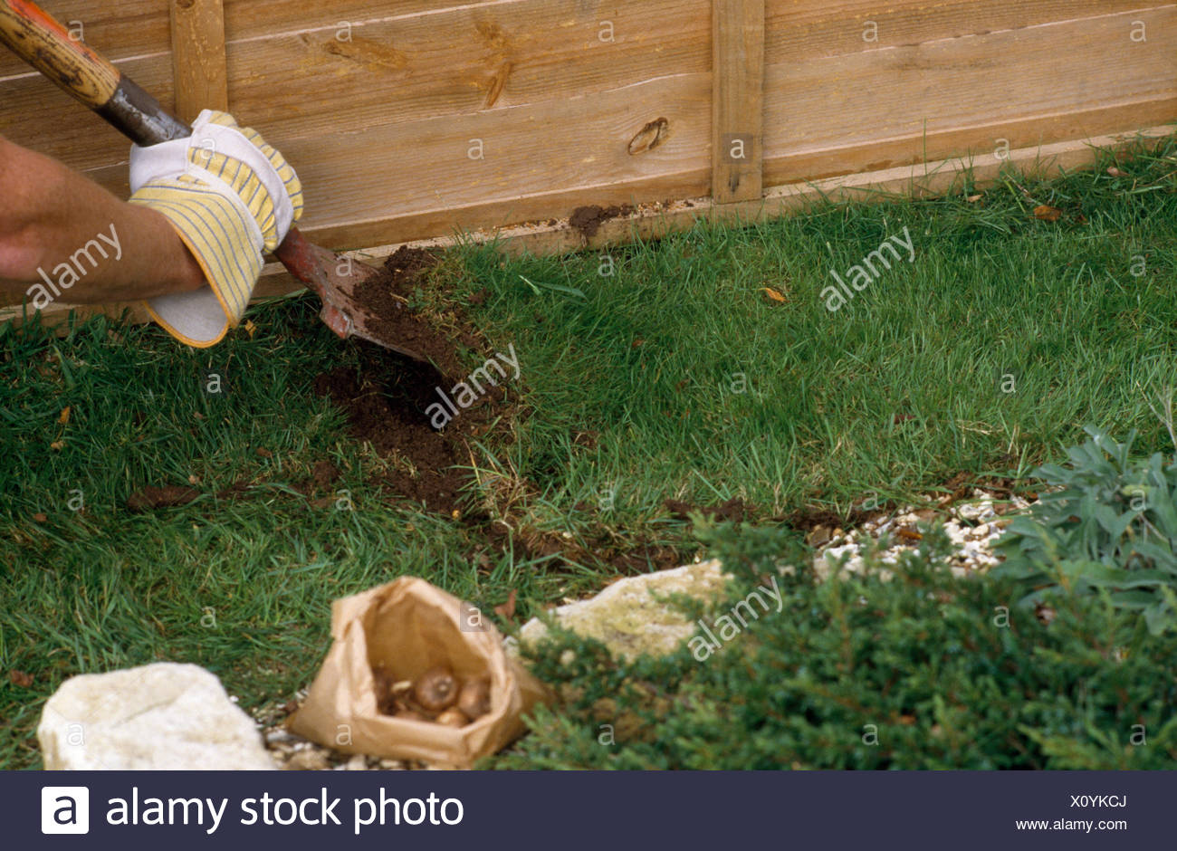 Dig Up High Resolution Stock Photography And Images Alamy